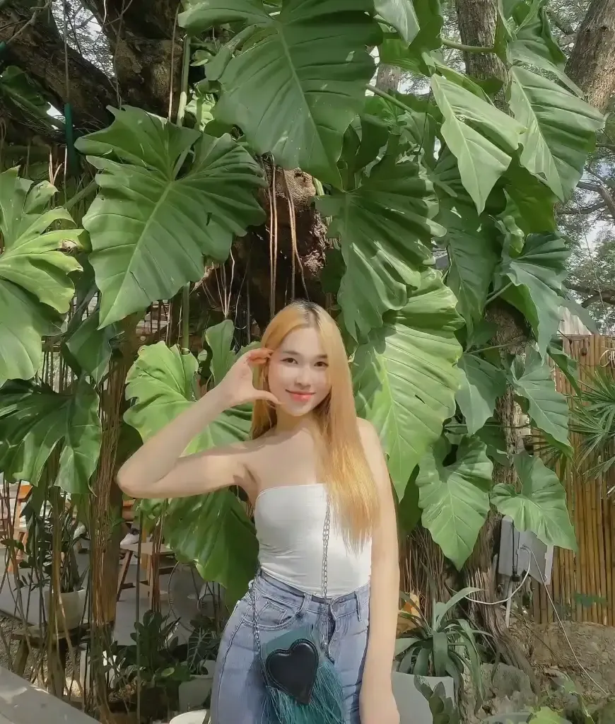 น้อง น้อง แยมส้ม — เมืองพะเยา